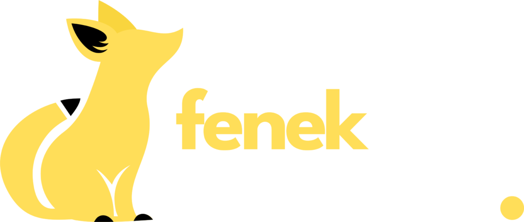 Fenek Media Logo